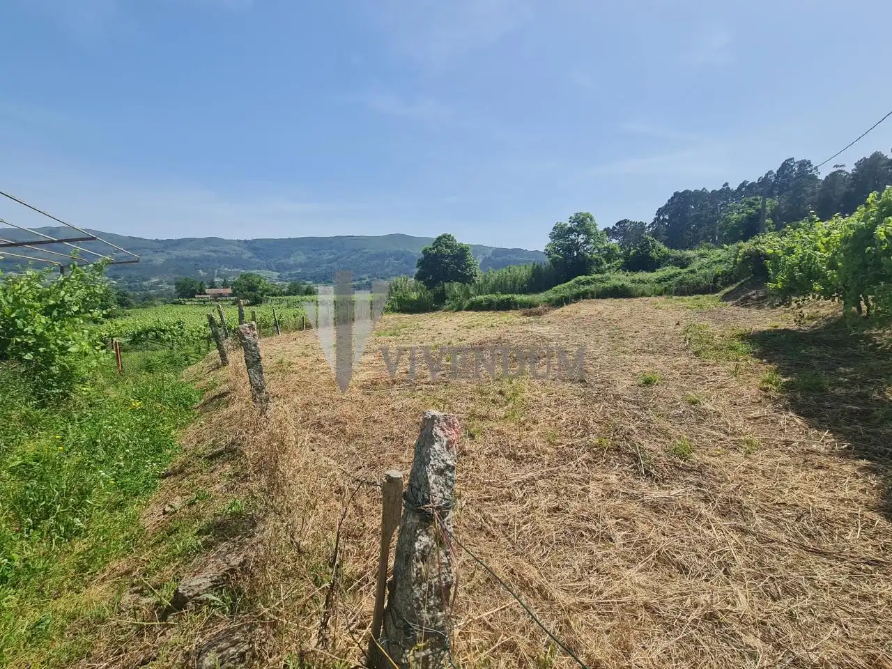 Rural land for sale in Arbo, imagen 5