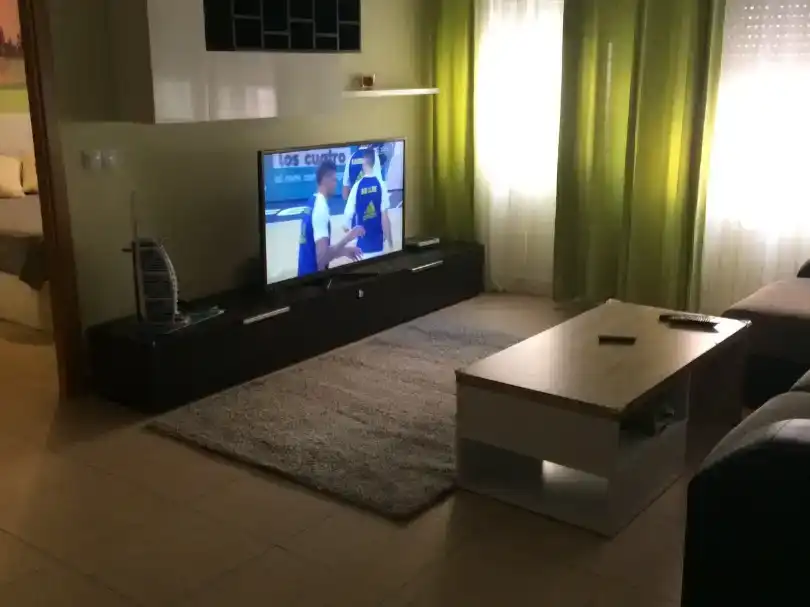 Sala de estar de Piso en venta en Terrassa