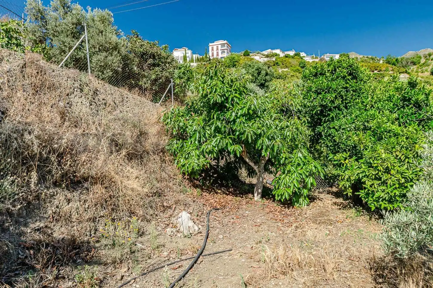 Casa amb jardí en venda a Canillas de Albaida, imagen 24