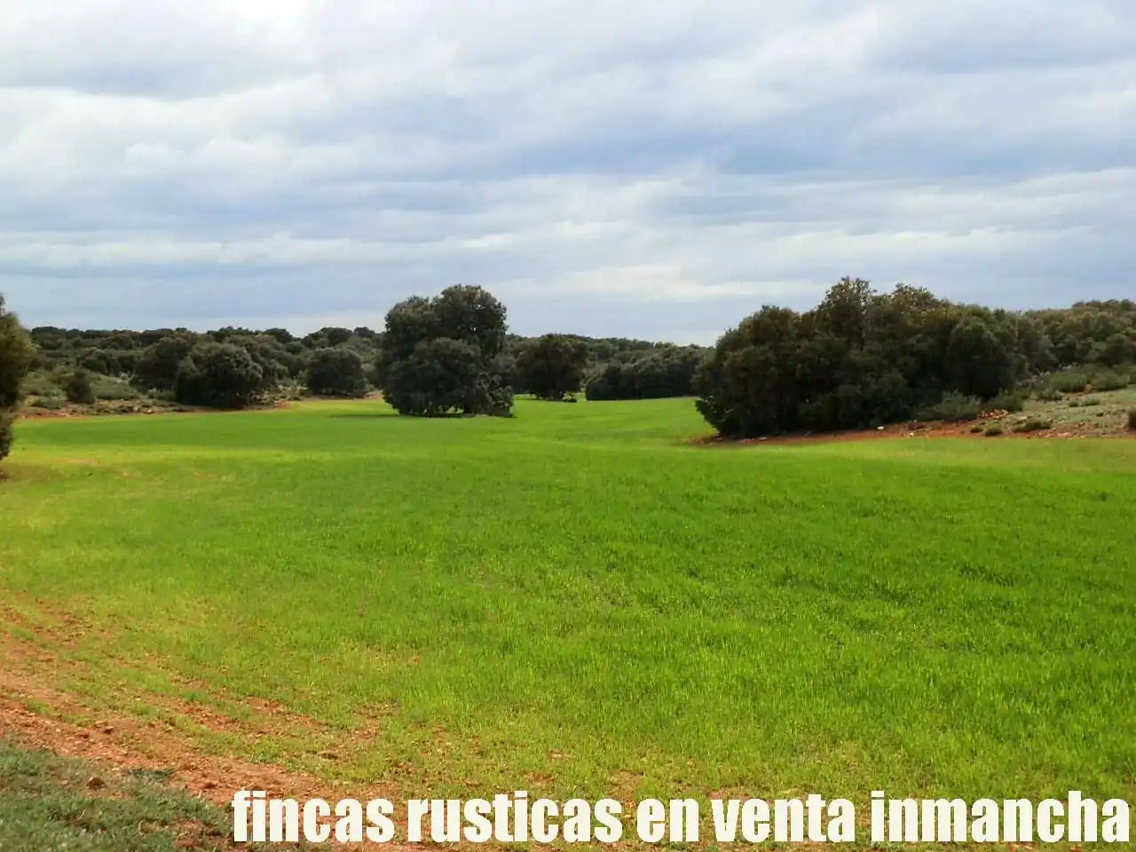Terreno rustico in vendita a Ruidera, imagen 5