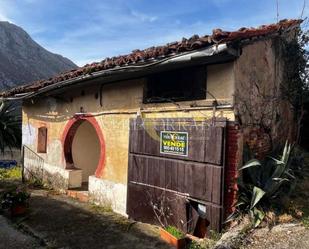 Vista exterior de Casa o xalet en venda en Amieva