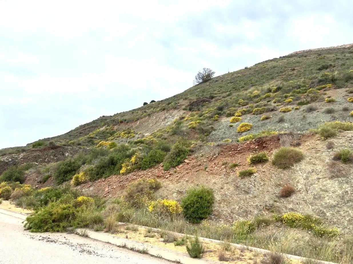 Terreno residenziale in vendita a Sierra Gorda, 159, imagen 14