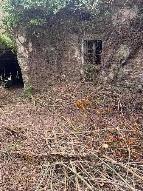Finca rústica en venta en Castropol
