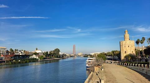 Photo 4 of Residential for sale in La Buhaira,  Sevilla Capital