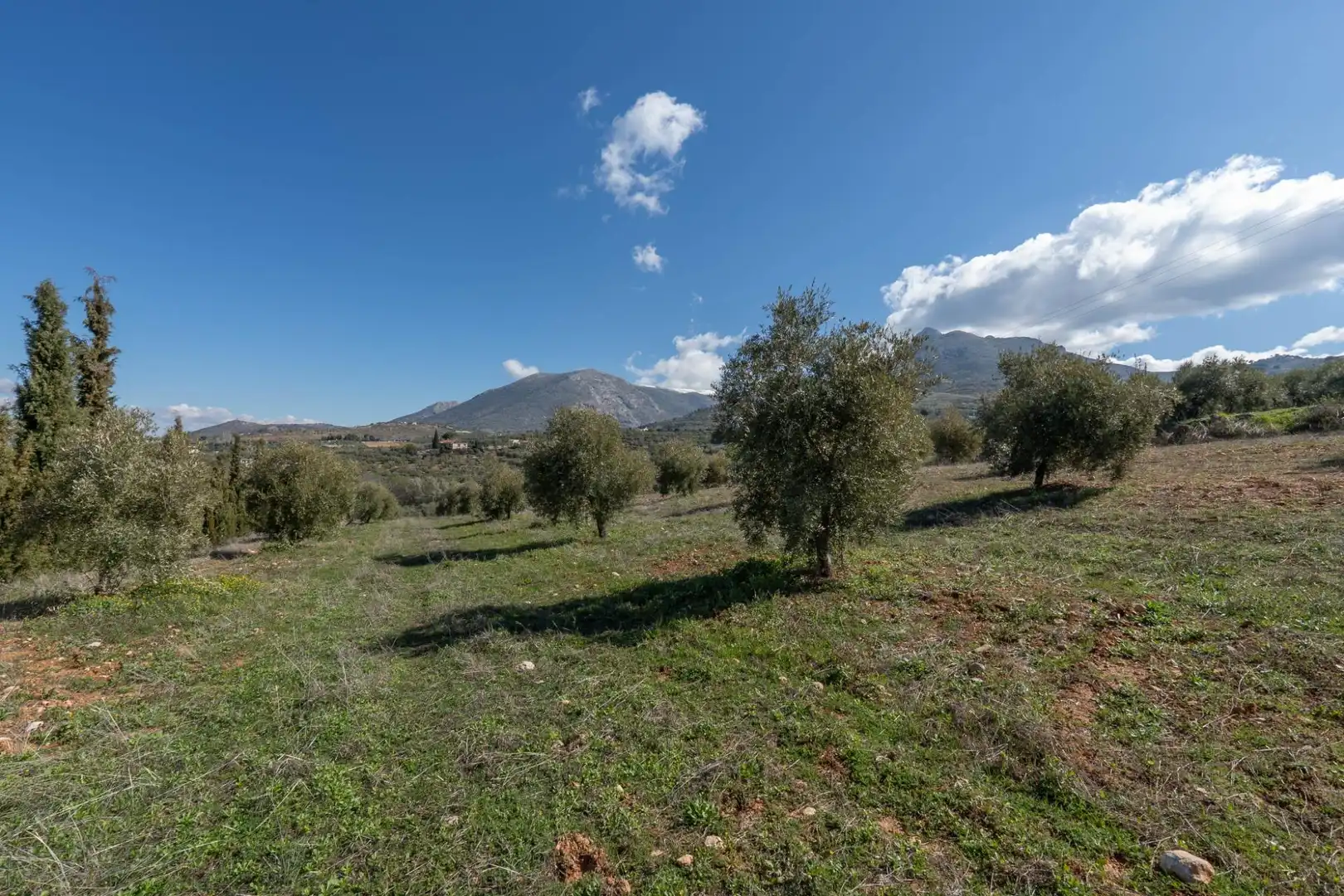 Terreni e lotti in vendita a Cogollos de la Vega