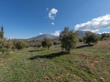 Terreno rustico in vendita a Cogollos de la Vega
