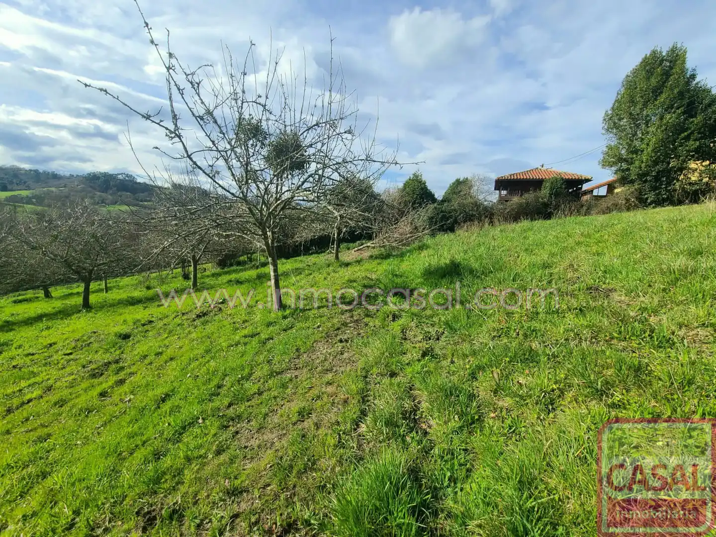Grundstücke und Bauplätze zum Verkauf in POLIGONO 51 PARCELA 132, imagen 19