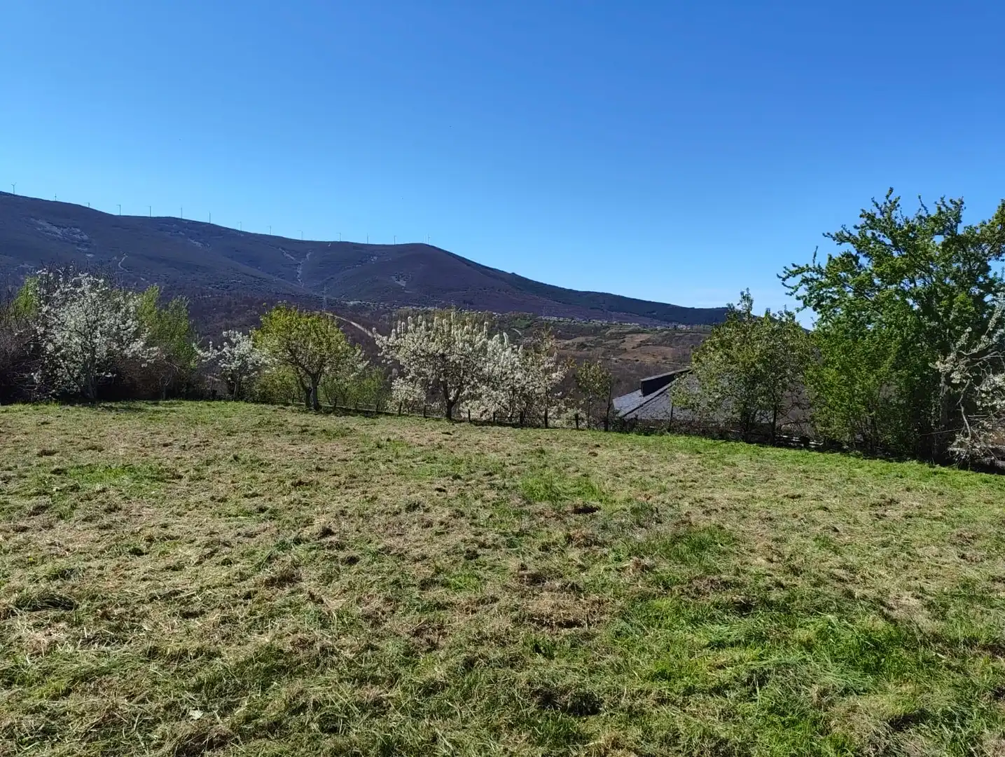 Land for sale in Castropodame