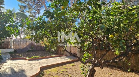 Foto 3 de Casa o xalet de lloguer a Montesol, L'Eliana