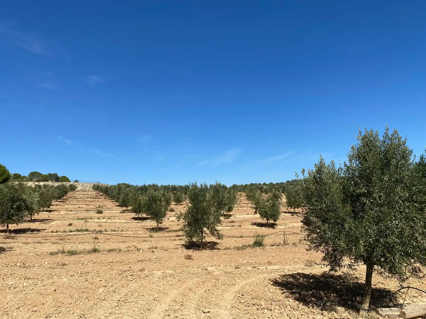 Casa o chalet en venta en Alcañiz con Terraza