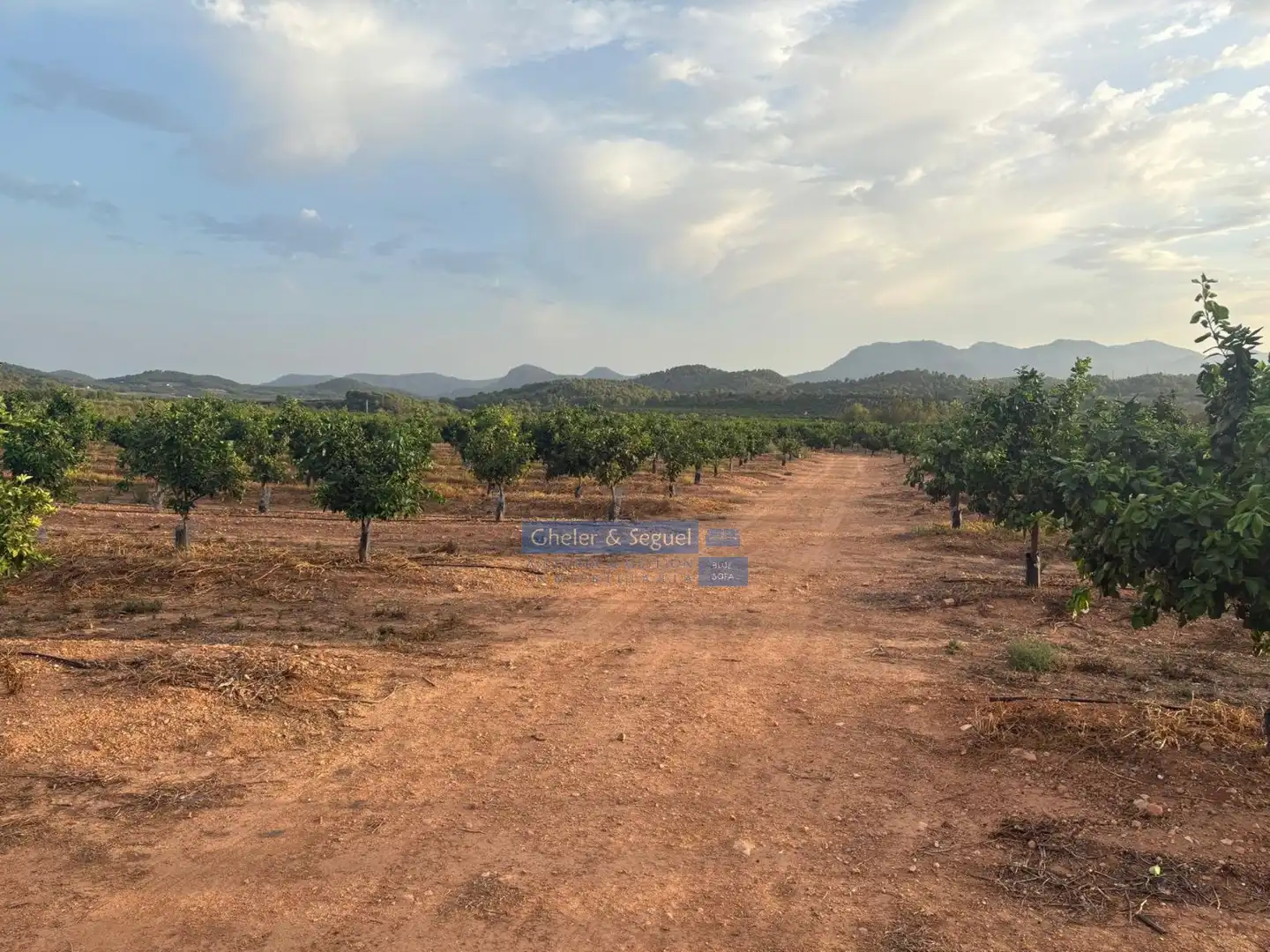 Terrenos y solares en venta en Algímia de Alfara, imagen 4