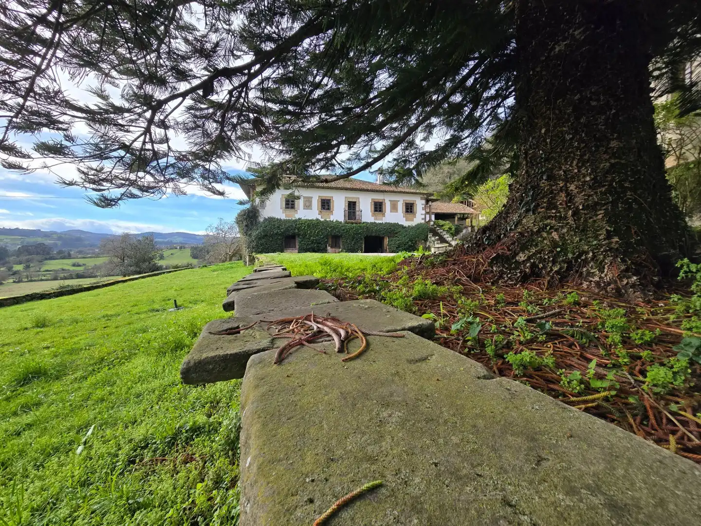 Vista exterior de Casa o chalet en venta en Villaviciosa con Calefacción y Jardín privado