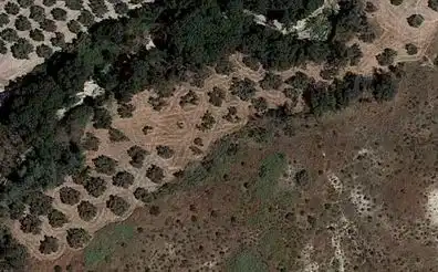 Rustikales Grundstück zum Verkauf in Baena, imagen 3