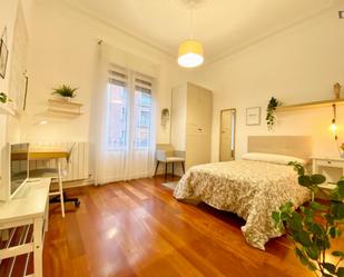 Apartament per a compartir a Zabalburu