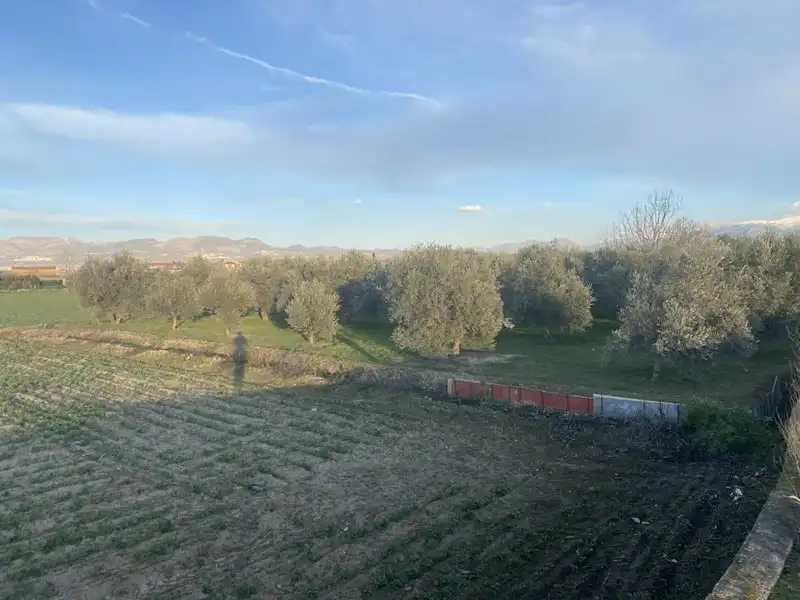 Rural land for sale in Belicena, imagen 7