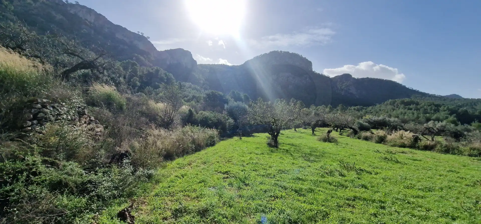 Residencial en venta en Rasquera