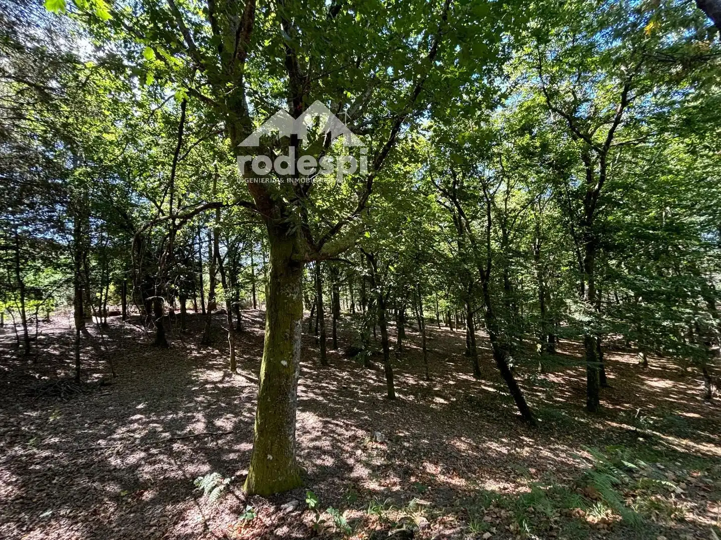 Terreny rústic en venda a A Cañiza, imagen 33