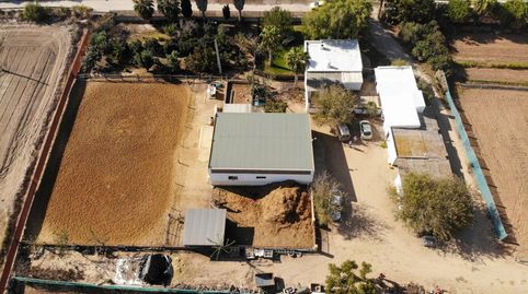 Foto 4 de Finca rústica en venta en Polígono la Ballena Poligono 9 Parcela 9, Las Tres Piedras - Costa Ballena, Chipiona