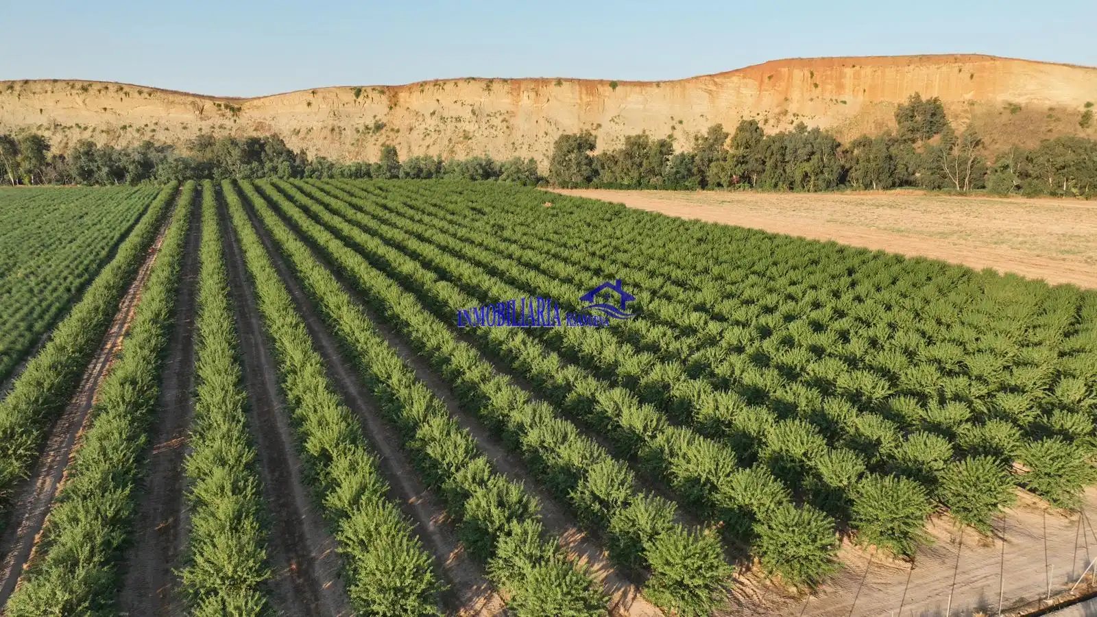 Finca rústica en venda en Periurbano Oeste - Sierra