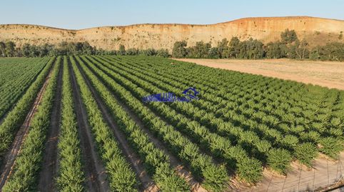 Foto 4 de Finca rústica en venda a Encinarejo de Córdoba, Córdoba Capital