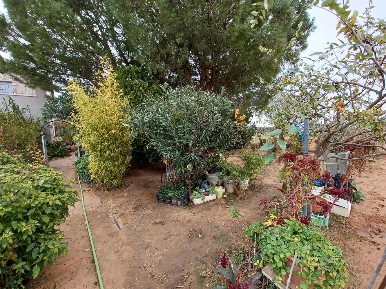 Casa rústica amb jardí en venda a La Roda, imagen 2
