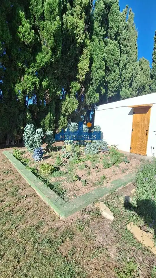 Jardín de Casa o chalet en venta en Burriana / Borriana con Aire acondicionado, Jardín privado y Terraza