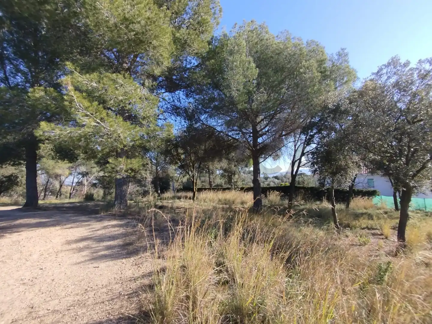 Terrenys i solars en venda a VILA DE VALL, imagen 15