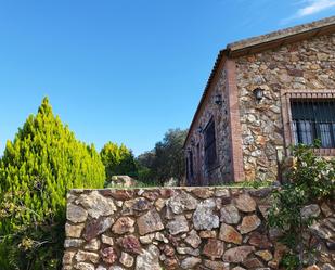 Vista exterior de Finca rústica en venda en Hornachos amb Jardí privat