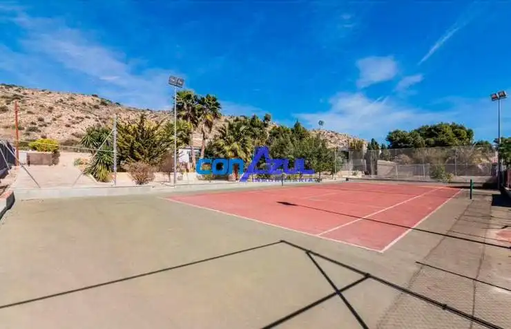 Vista exterior de Casa o xalet en venda en Elche / Elx amb Jardí privat, Terrassa i Piscina
