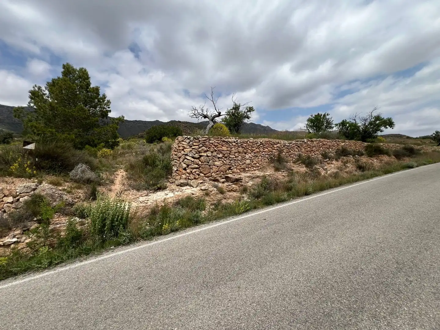 Terreno rústico en venta en Hondón de las Nieves / El Fondó de les Neus, imagen 10