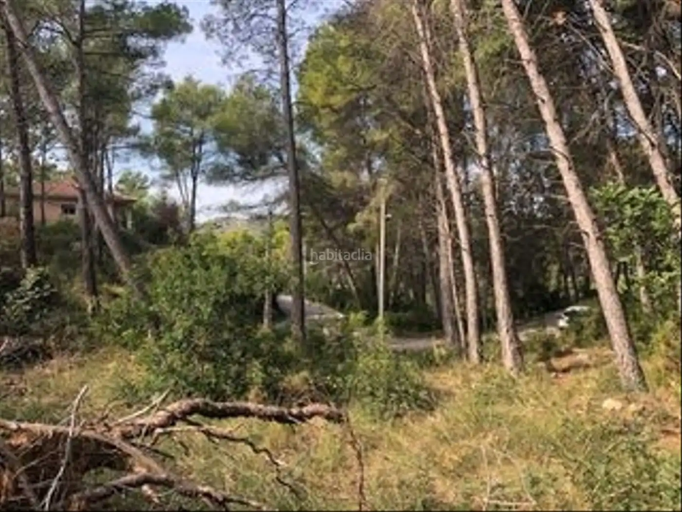 Wohnbaugrundstück zum Verkauf in Carrer del Botxi 26