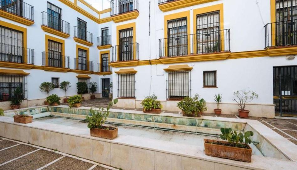 Photo 1 of Apartment to share in Arenal - Museo, Sevilla