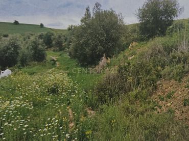 Terreno rustico in vendita a Polígono 33 Parcela 57 MORAILA. CARTAMA (MÁLAGA)