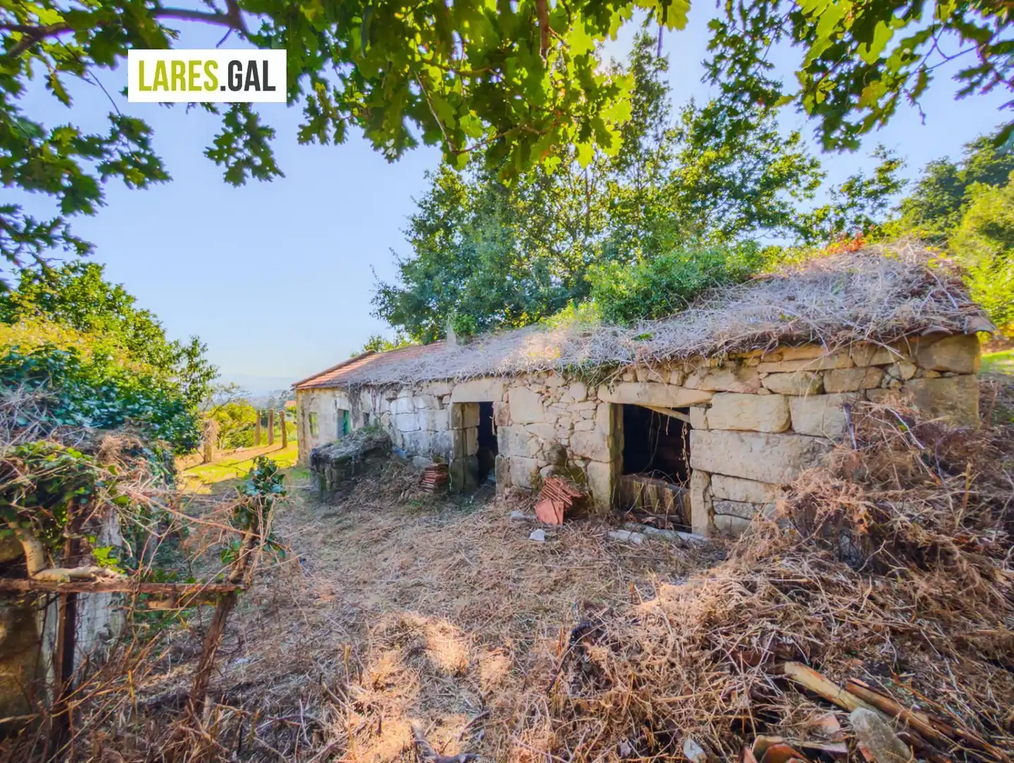 Terreno rustico in vendita a Trementelo, imagen 15