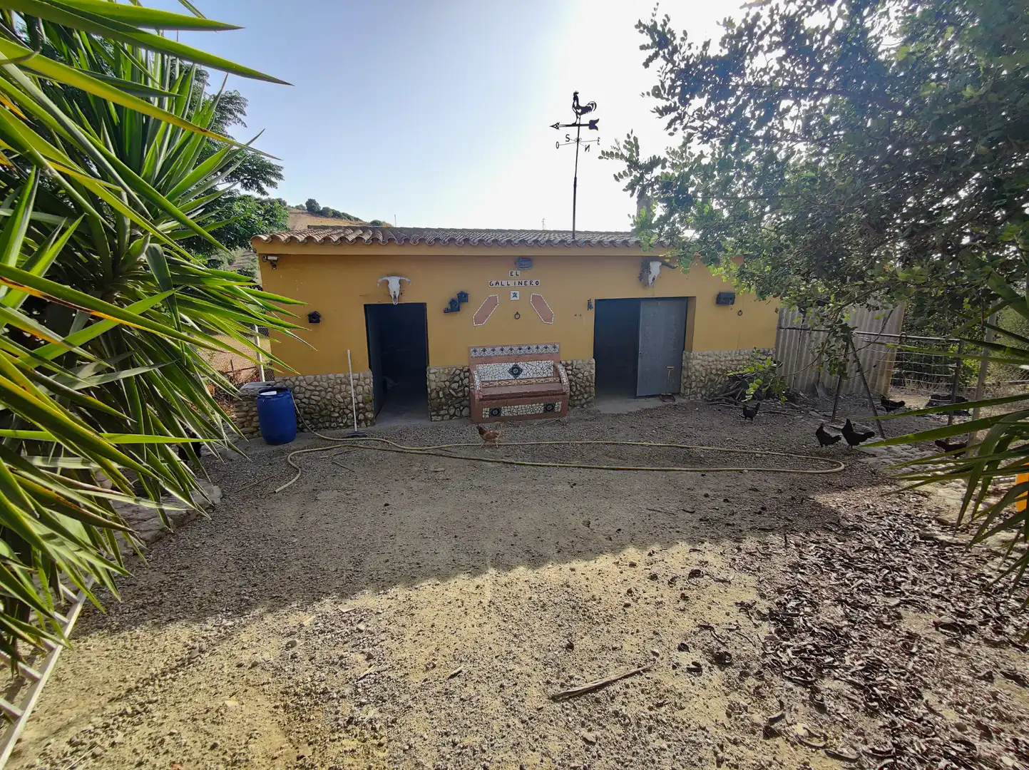 Vista exterior de Terreno en venta en El Cuervo de Sevilla