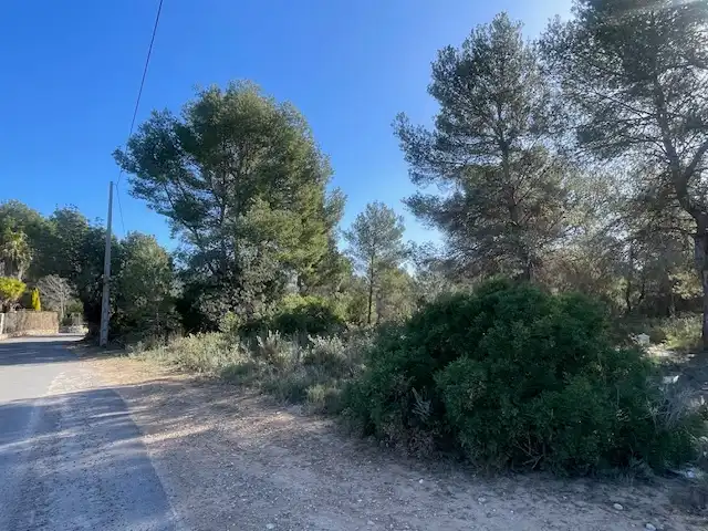 Rural land for sale in Albalat dels Tarongers, imagen 3