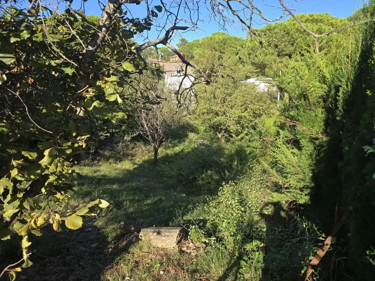 Terreno residencial en venta en Vacarisses, imagen 5