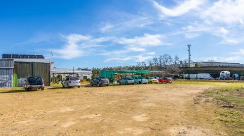 Foto 5 de Finca rústica en venda a Nueva Alcalá, Alcalá de Guadaira