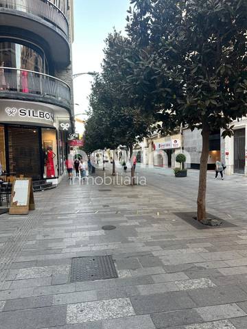 Local comercial en Alquiler en Zona Centro