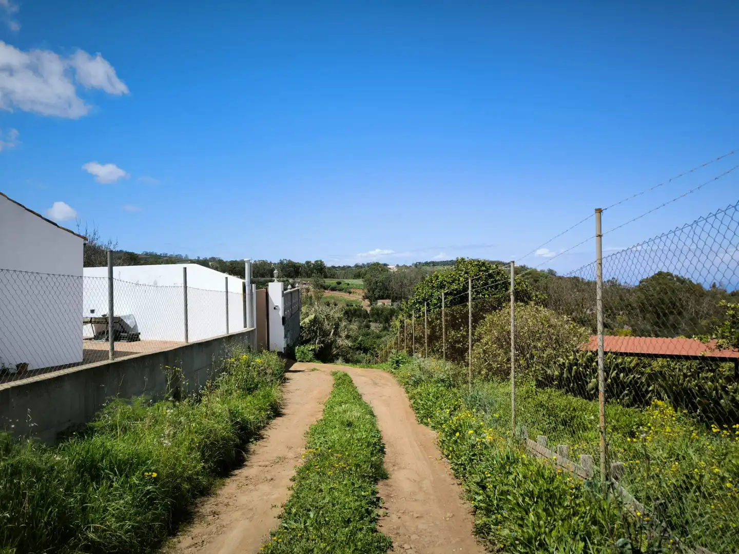 Finca rústica en venta en Moya (Las Palmas)