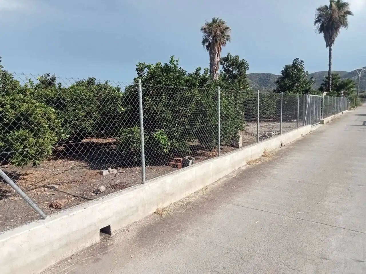 Terreno rústico en venta en Calle Marjals, imagen 4