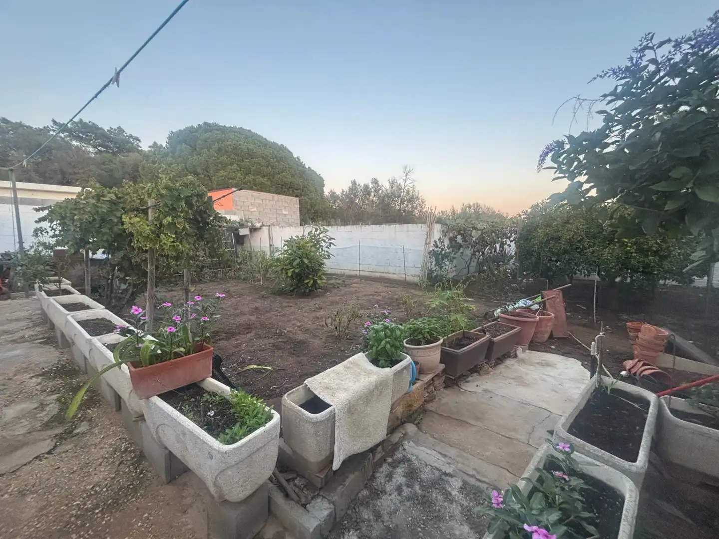 Jardín de Casa o chalet en venta en Marbella con Aire acondicionado, Calefacción y Jardín privado