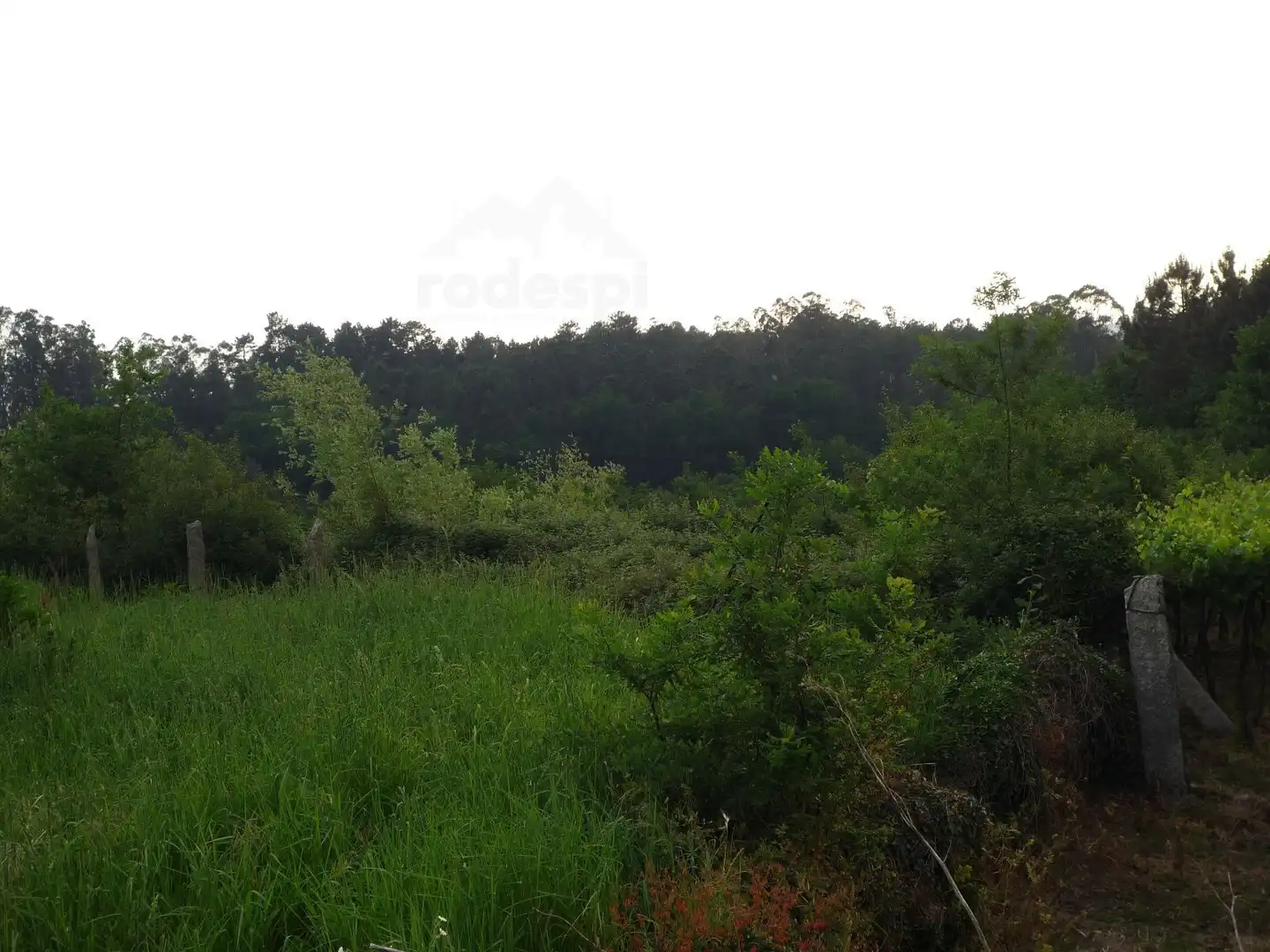 Terrenys i solars en venda a Ponteareas, imagen 3