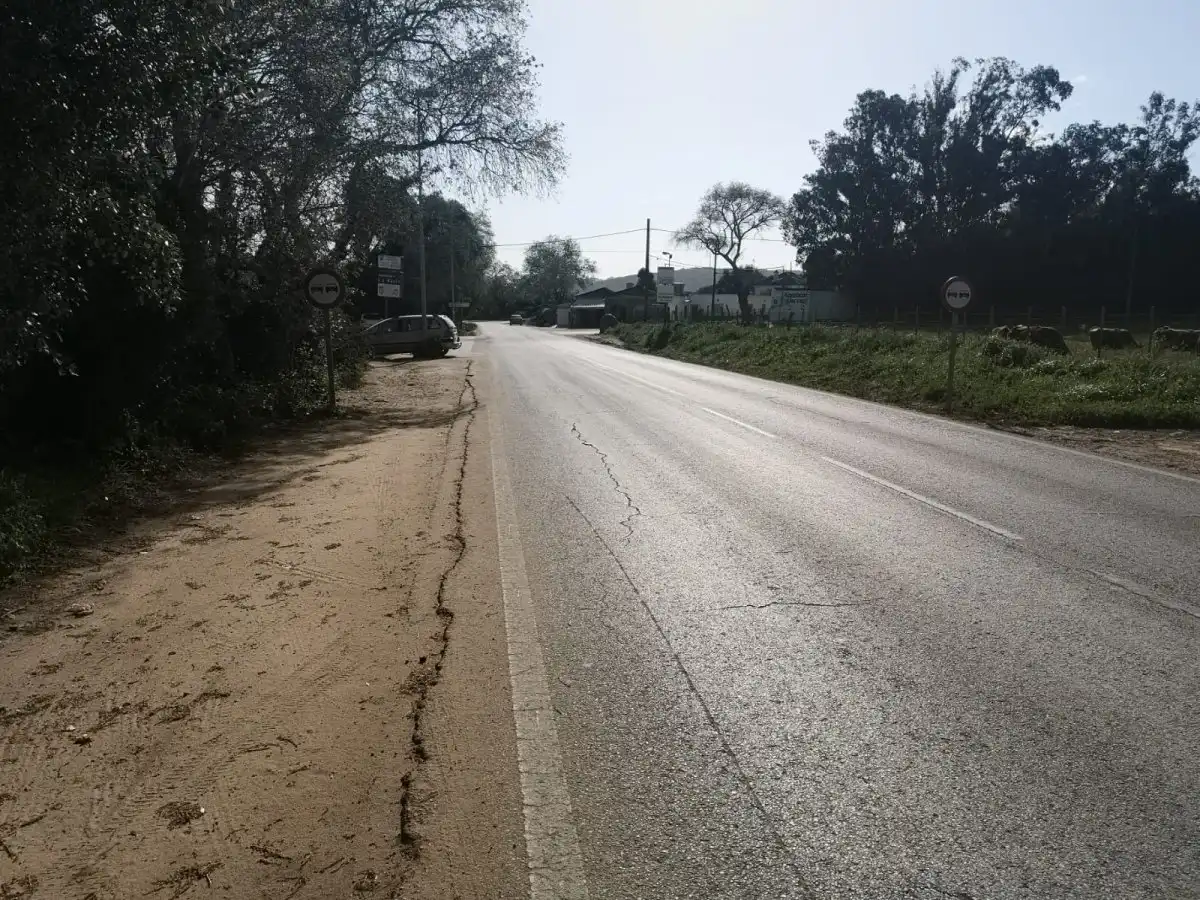 Rural land for sale in La Muela, imagen 5