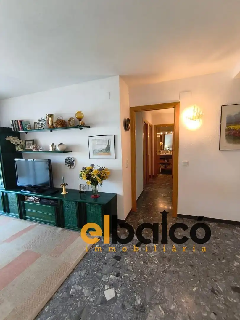 Flat for sale in Carrer d'Emili Vendrell, 4, La Pineda