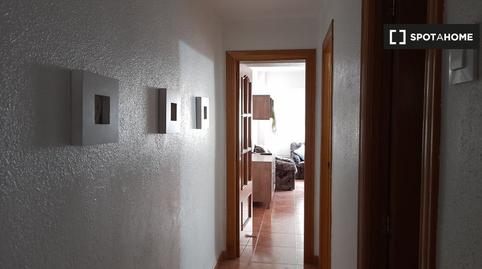 Foto 5 de Habitación en La Malva-rosa, Valencia Capital