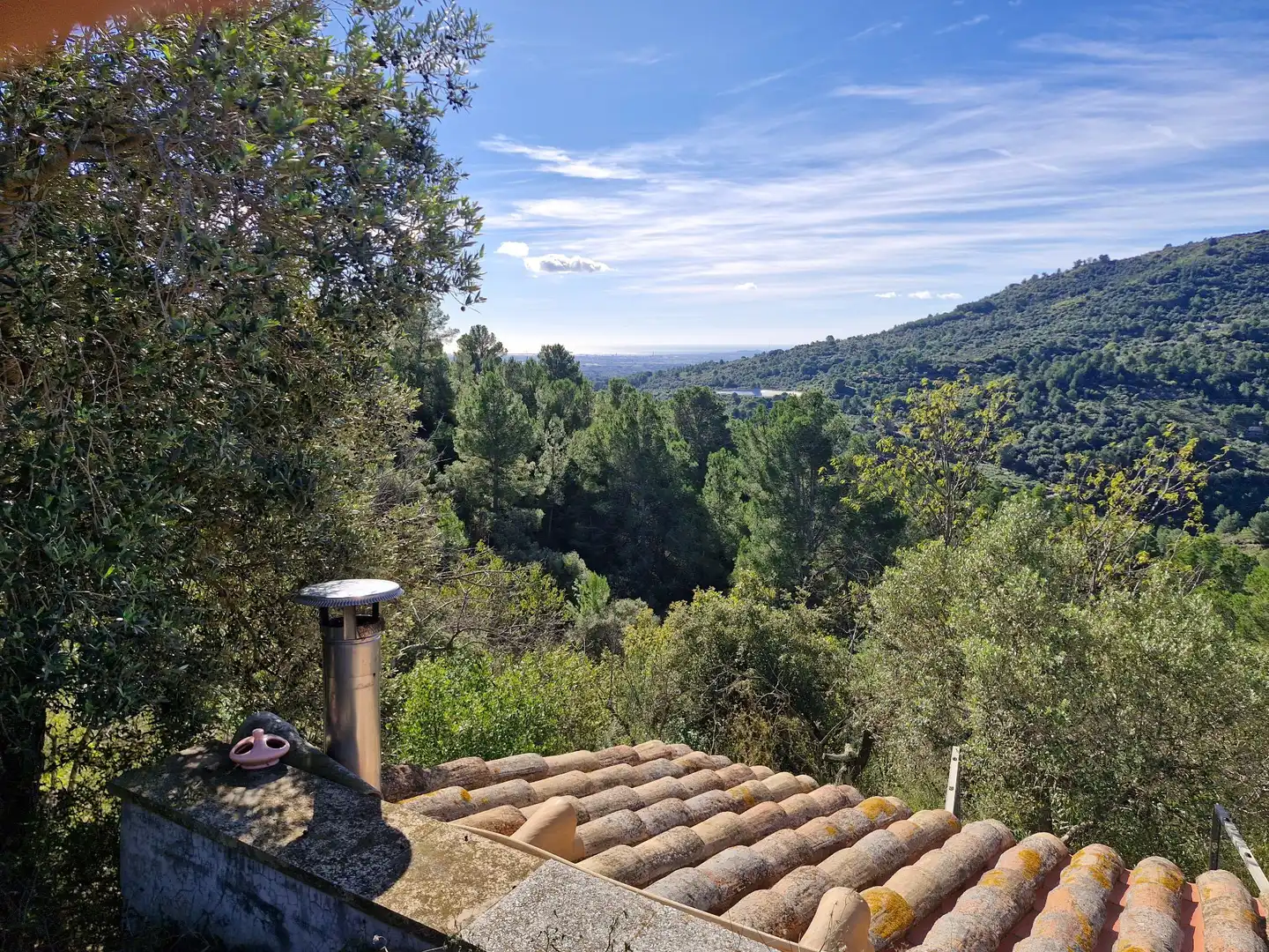 Jardín de Terreno en venta en La Selva del Camp