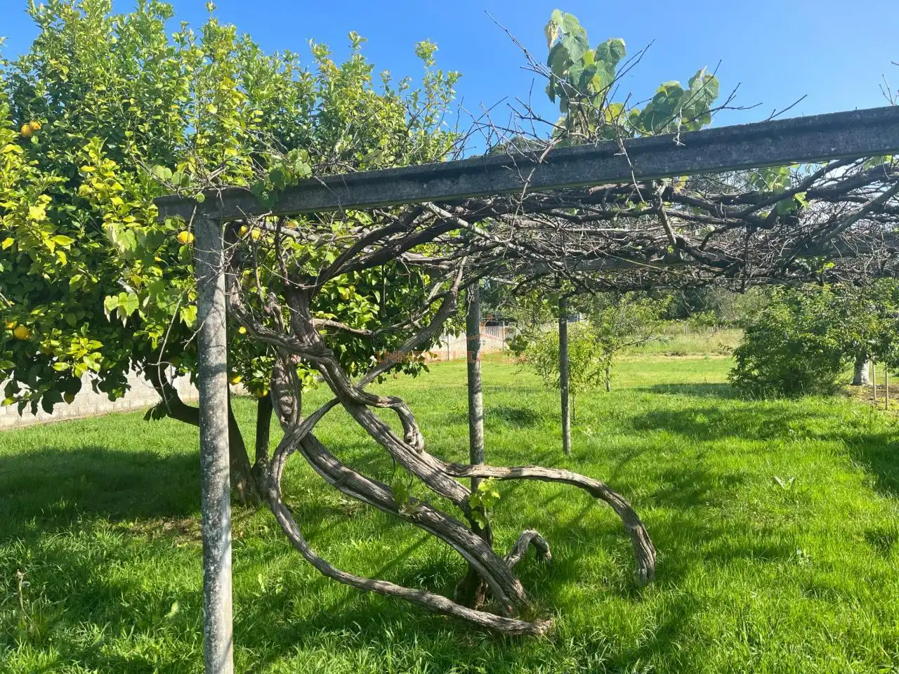 Terrenos y solares en venta en O Feal - Xubia, imagen 3