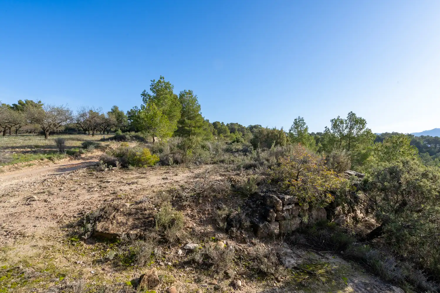 Rural land for sale in Plaça de l'Esglesia 4, imagen 12
