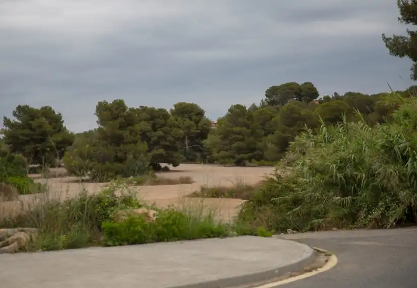 Terreno rustico in vendita a Carrer de la Cigonya 16